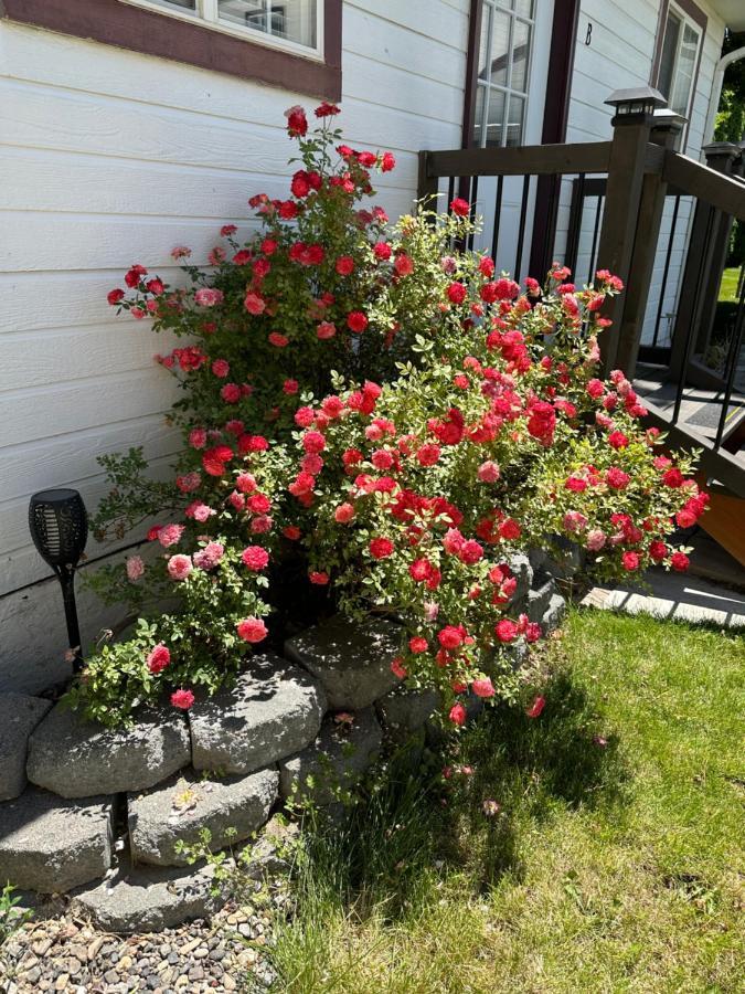 Cozy Cottage House B With Double Carport Twin Falls Eksteriør billede